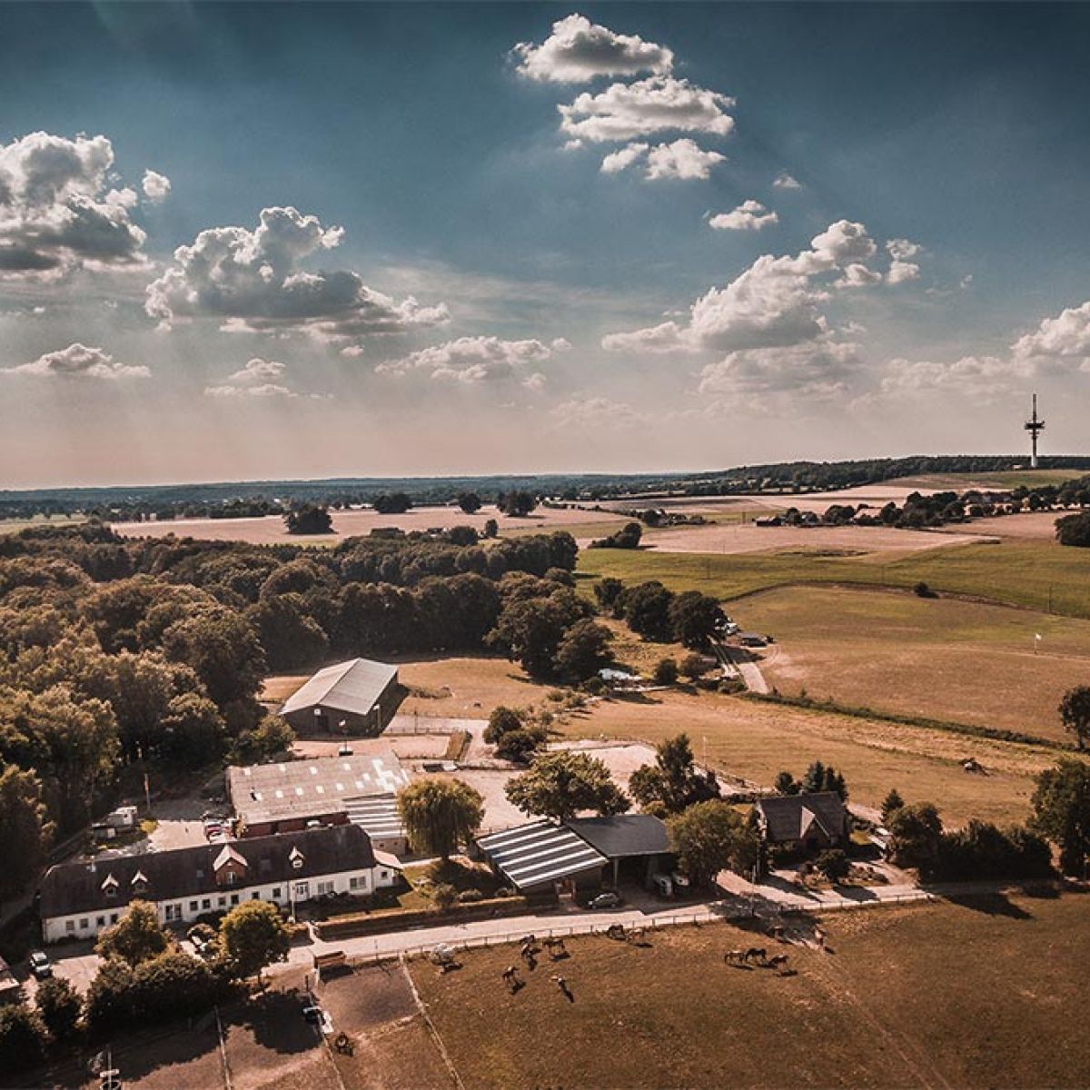 Ramm Ranch Übersicht